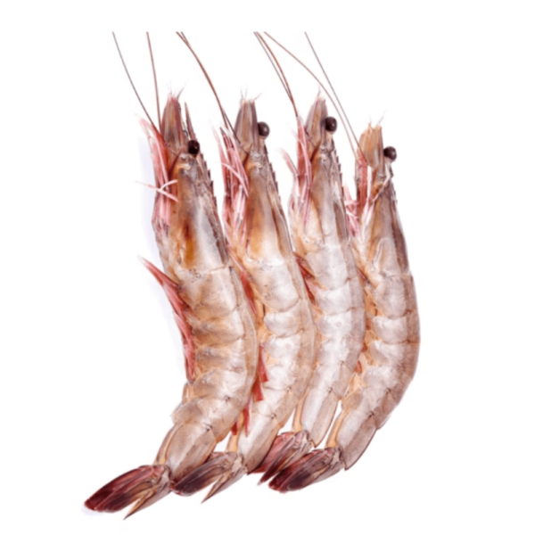 Frozen Prawns Medium 0.500