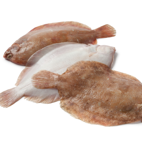 Sole Fish Boneless (Frozen)
