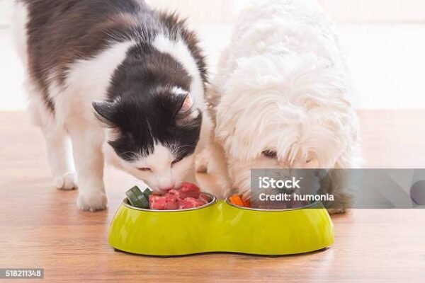 Pet Food (Mince) 1kg