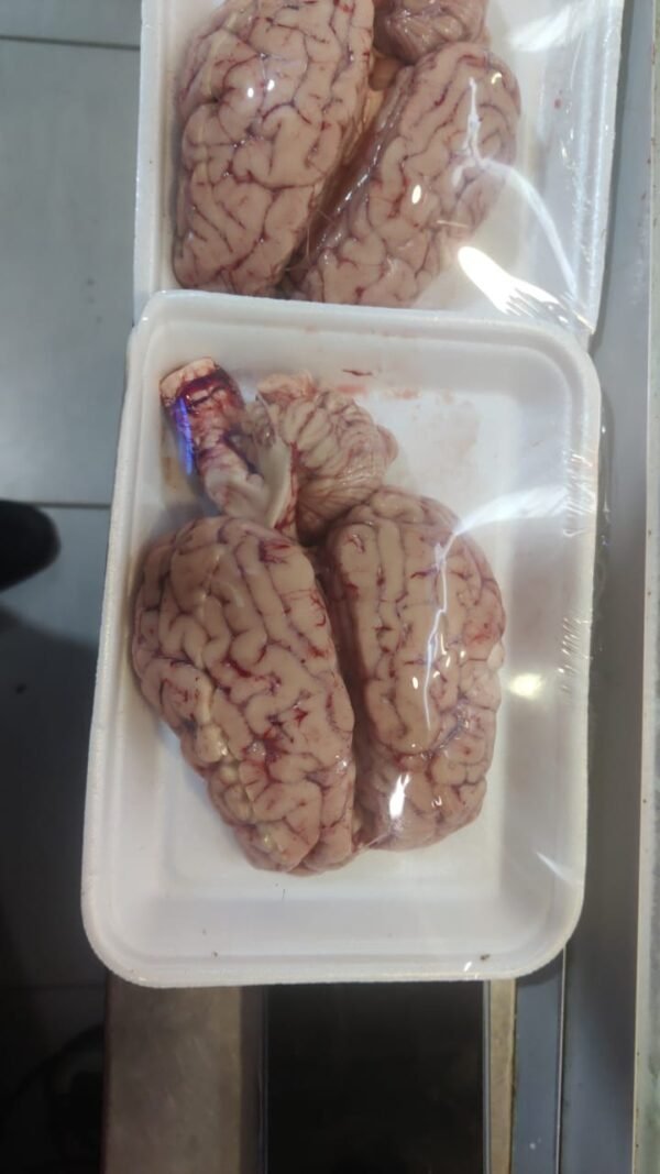 Prime Beef Brain 1pc
